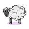 Hand drawn cute sheep with beautiful fur, ready to be sheared