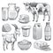 Hand drawn dairy products. Farm cow and goat milk healthy fresh product. Butter and cottage cheese, yogurt vintage