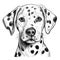 Hand-drawn Dalmatian Face Clipart for Coloring Book on White Background AI Generated