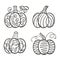 Hand drawn decorated pumpkin set