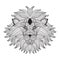 Hand drawn decorative lion