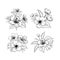 Hand drawn design elements sakura flowers collection.