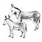 Hand drawn donkey and foal. Farm animal familie