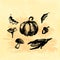 Hand drawn doodle harvest elements. Corn, pumpkin, leaf, mushrooms, acorn. Black images, yellow watercor background.