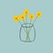 Hand drawn doodle vector illustration of bouquet of fluffy yellow daisies in transparent vase on blueish gray background. Sketchy