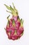 Hand drawn dragon fruit illustration