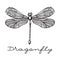 Hand drawn dragonfly with doodle drawn wings