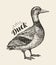Hand-drawn duck. Bird, mallard, farm animal sketch. Vector illustration