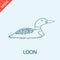Hand drawn duck loon bird icon design vector illustration