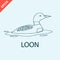 Hand drawn duck loon bird icon design vector illustration