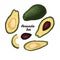 Hand drawn engraved colorful avocado set isolated on white background.