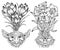 Hand drawn engraved vector set with funny demon or gnome faces as roots of beautiful spring flowers of Crocus and Narcissus