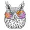 Hand Drawn Fashion Illustration of Hipster Owl with aviator sunglasses