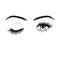 Hand drawn female eyes silhouette. Wink one eye. Eyes with eyelashes and eyebrows. Vector illustration isolated on white