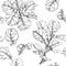 Hand Drawn Ficus Branch Pattern