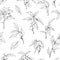 Hand Drawn Ficus Branch Pattern