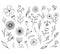 Hand drawn floral elements. Isolated doodle flowers.