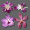 Hand drawn floral set with realistic orchids.