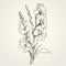 Hand Drawn Flowers Sketch: Realistic Vector Image With 17th Century Monochromatic Harmony