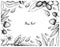 Hand Drawn Frame of Atherton Raspberries and Jambolan Plums