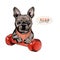 Hand drawn french bulldog dog sits with a dumpbell. Stay home. Vector engraved quarantine poster. Stay strong, stay at