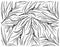Hand Drawn of Fresh Tarragon Plants Background