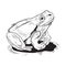 Hand drawn frog line art engraving style