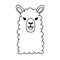 Hand drawn funny portrait of baby llama. Black and white line drawing for coloring page . Cute outline vector