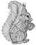 Hand drawn funny squirrel with nut for adult anti stress Colori