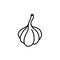 Hand-drawn garlic head isolated on a white background.vegetarian dishes. Vector illustration in the Doodle style.