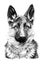 Hand drawn German Shepherd dog, sketch graphics monochrome illustration