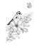 Hand Drawn Goldfinch Sitting on Flower