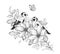 Hand Drawn Goldfinches Sitting on Flower