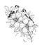 Hand Drawn Goldfinches Sitting on Hibiscus Branch