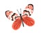 Hand drawn gorgeous butterfly with bright wings and antennae. Colored beautiful flying moth. Colorful flat textured