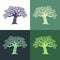 Hand drawn graphic olive trees set on different backgrounds.