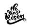 Hand drawn Happy Easter modern brush calligraphy lettering text He is risen. Christian Ink Vector illustration. Isolated
