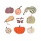 Hand drawn harvest Pumpkin illustration. Vector autumn drawing food