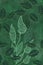 Hand drawn holly and leaf art dyed grunge background with Japanese ink antiqued style background in deep green dark edge