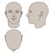 Hand Drawn Human Head in 3 Views