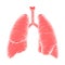 Hand drawn human lung illustration reverse with outline