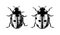 hand drawn icon. Ladybug. Isolated on white background.