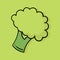 Hand drawn illustration of broccoli with a vegetable theme