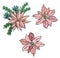 HAND DRAWN ILLUSTRATION OF CHRISTMAS BELLS, PINE BRANCH AND CHRISTMAS FLOWER - POINSETTIA