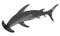 hand-drawn illustration of a hammerhead shark. tattoo, t-shirt design