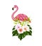 Hand-drawn illustration of pink flamingo, hibiscus, palm tree, rose, monstera and green leaves. Tropical element.