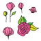 Hand drawn illustration with pink nice flowers Roses