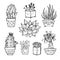 Hand drawn illustration - Set of cute cactus and succulents.