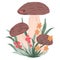 Hand drawn illustration of summer brown mushroom with grass herbs flowers. Fall autumn nature wood woodland forest, cute