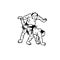 Hand drawn illustration of sumo man wrestlers fight on white background